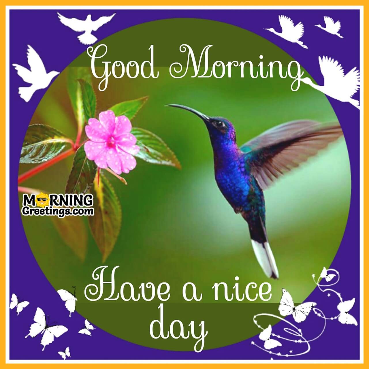 10 Sweet Good Morning For Bird Lovers Morning Greetings