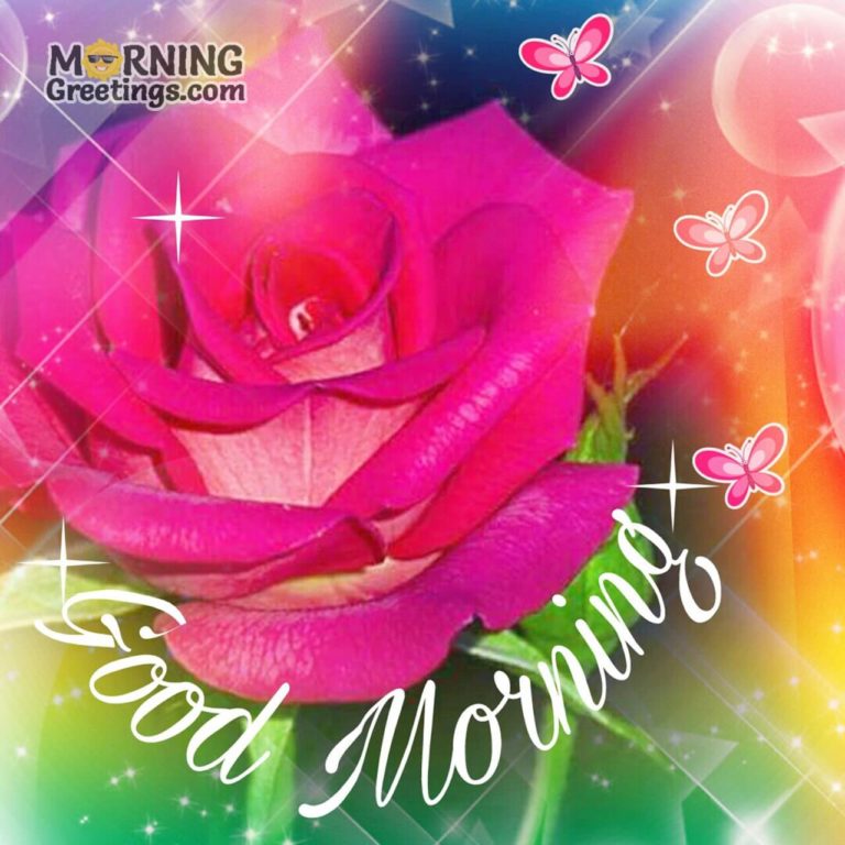 51 Good Morning Wishes With Rose - Morning Greetings – Morning Quotes ...