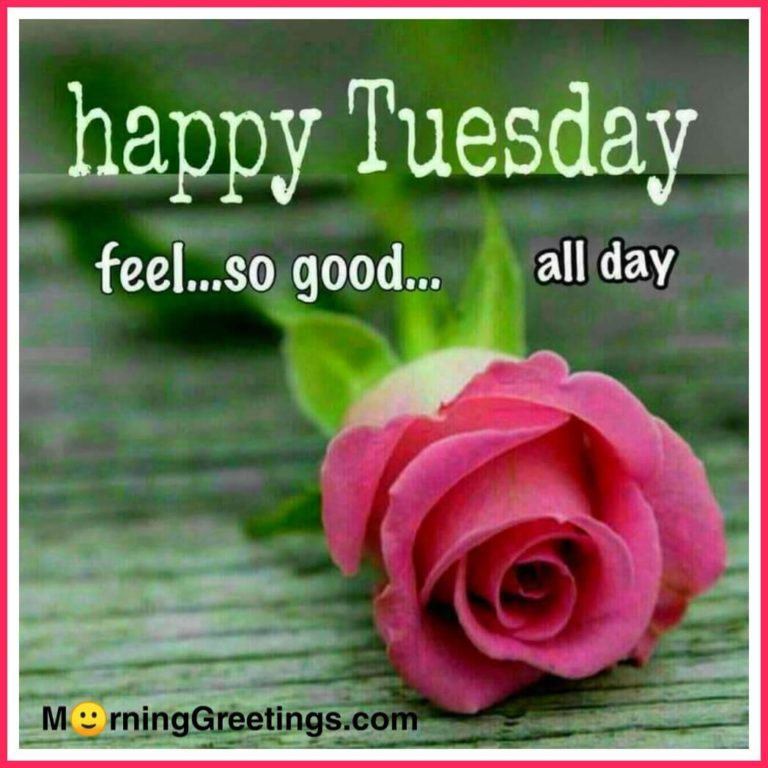 50 Best Tuesday Morning Quotes Wishes Pics - Morning Greetings 