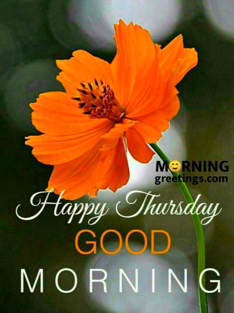 Cool Thursday Morning Greetings Morning Greetings Morning Wishes