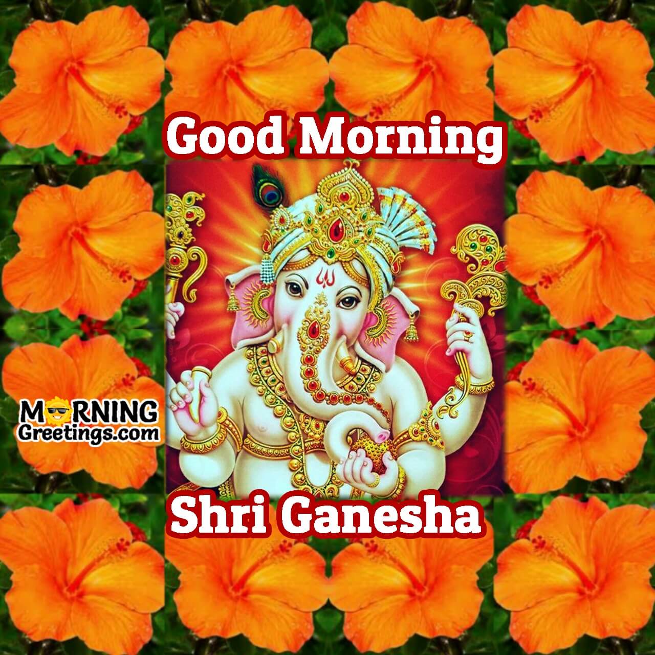 50 Amazing Morning Ganesha Photos - Morning Greetings – Morning Quotes ...