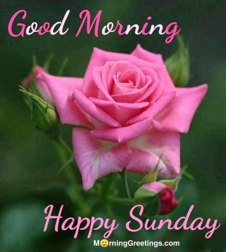 40 Wonderful Happy Sunday Morning Images - Morning Greetings – Morning ...