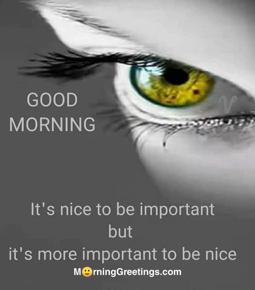 Special Good Morning Quotes