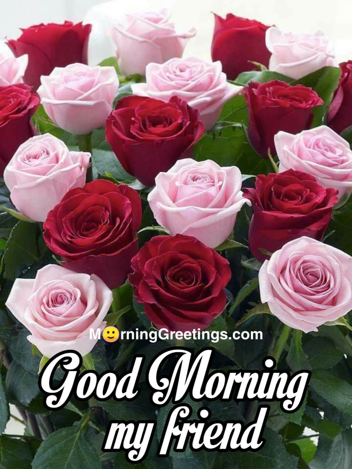 65 Good Morning Images With Flowers Morning Greetings Morning 