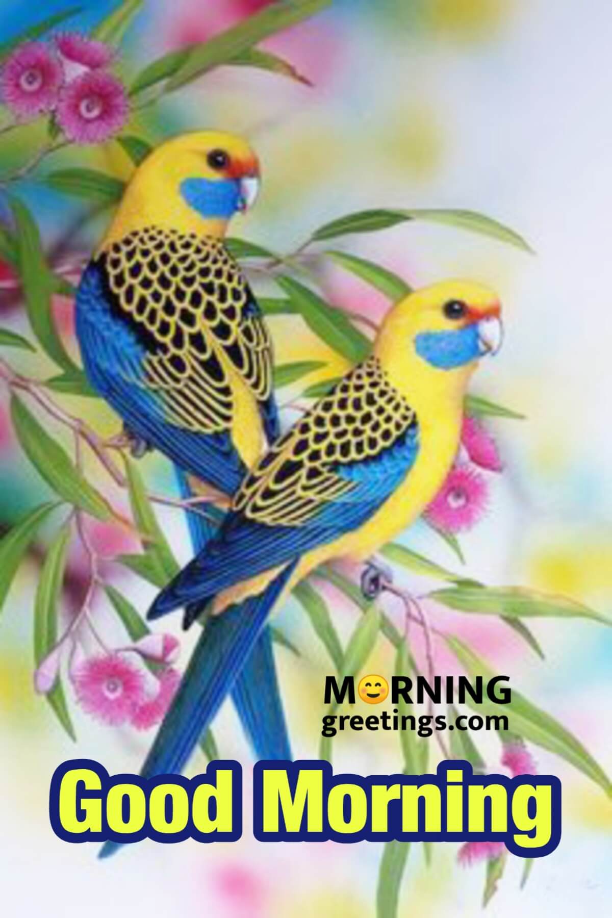 Perfect Morning Birds Greetings Morning Greetings Morning Quotes And Wishes Images