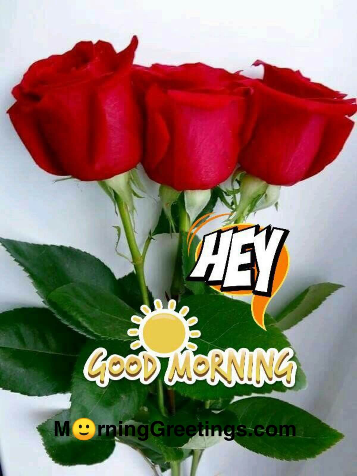 51 Good Morning Wishes With Rose Morning Greetings Morning Quotes