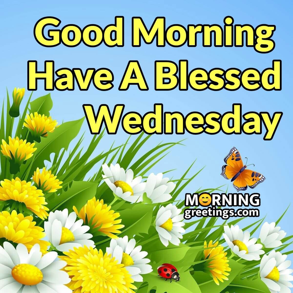 50 Good Morning Happy Wednesday Images Morning Greetings Morning Wishes