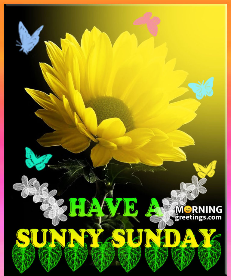 50 Best Sunday Morning Quotes Wishes Pics - Morning Greetings – Morning ...