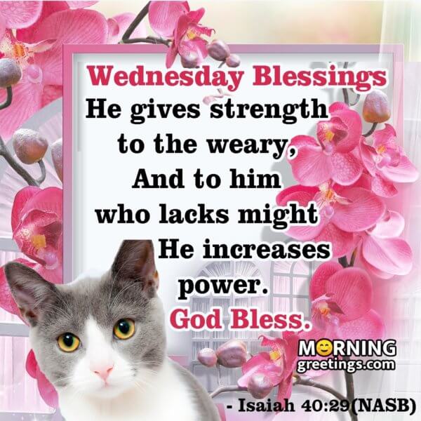 30 Amazing Wednesday Morning Blessings - Morning Greetings – Morning ...