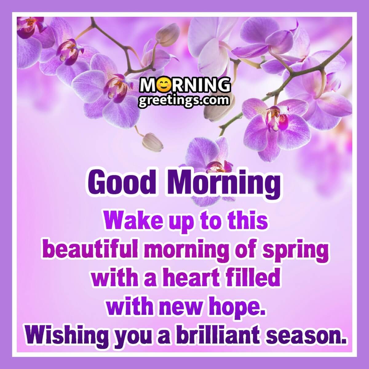 30 Good Morning Spring Wishes - Morning Greetings – Morning Quotes And ...