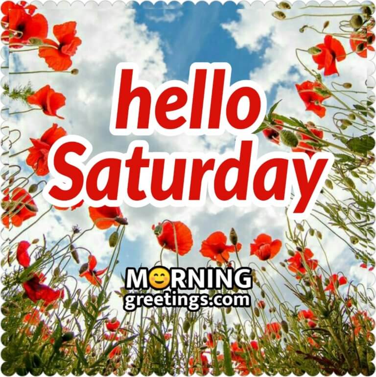 50 Splendid Saturday Quotes Wishes Pics - Morning Greetings – Morning