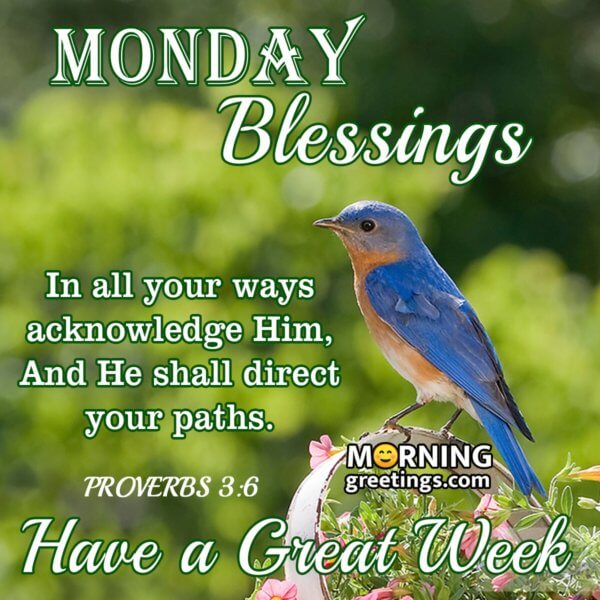 30 Amazing Monday Morning Blessings - Morning Greetings – Morning ...