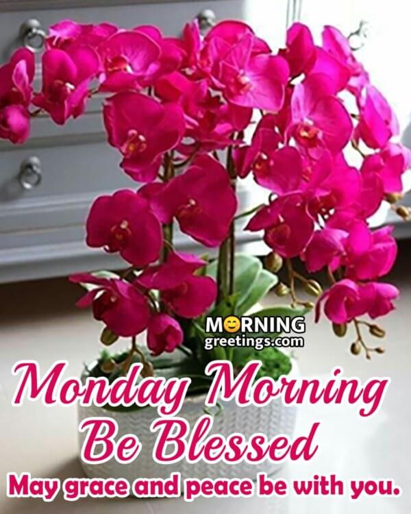 30 Amazing Monday Morning Blessings - Morning Greetings – Morning