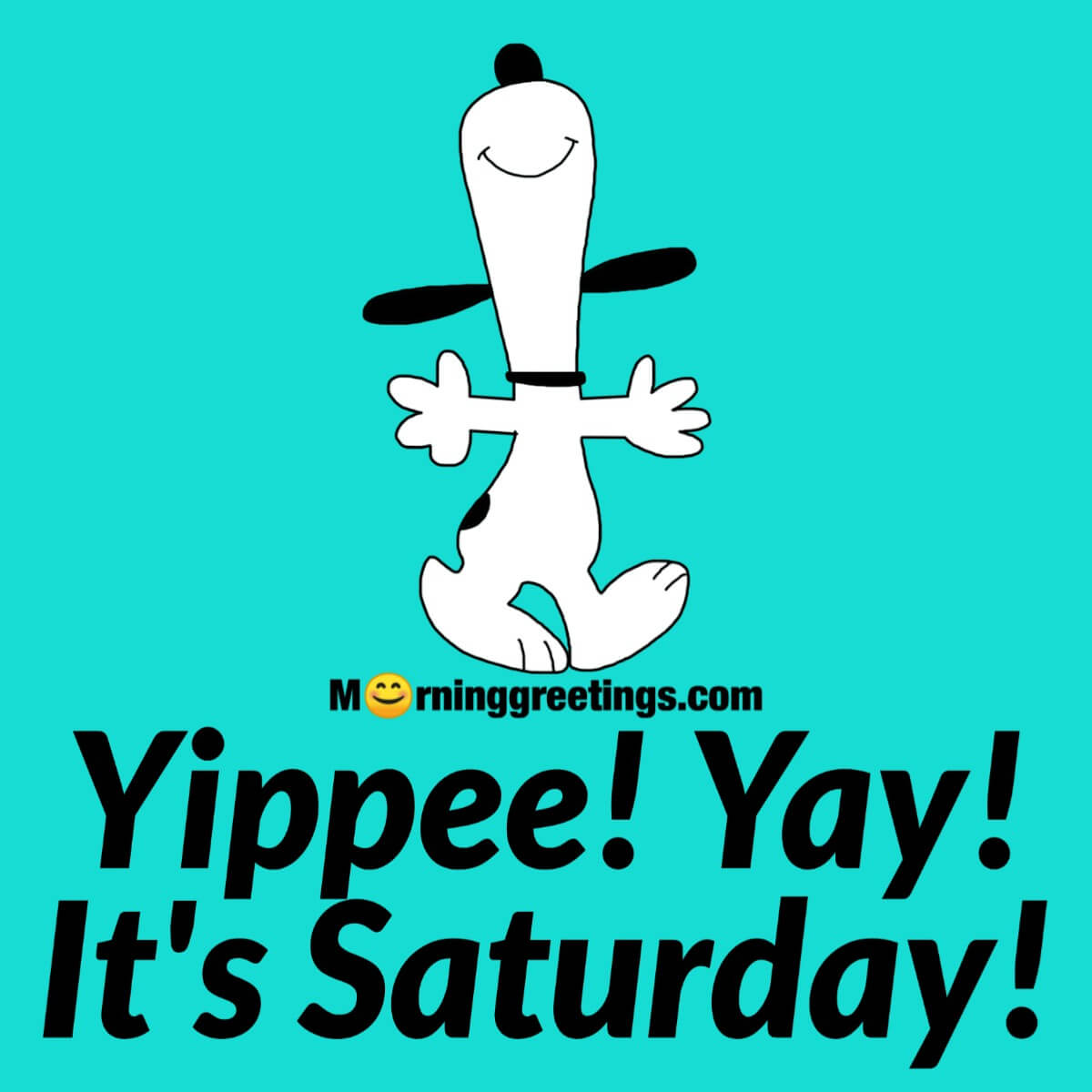 Tomorrow is saturday. Yippee Мем. Happy Saturday. Saturday its Saturday. Картинки Yippee.