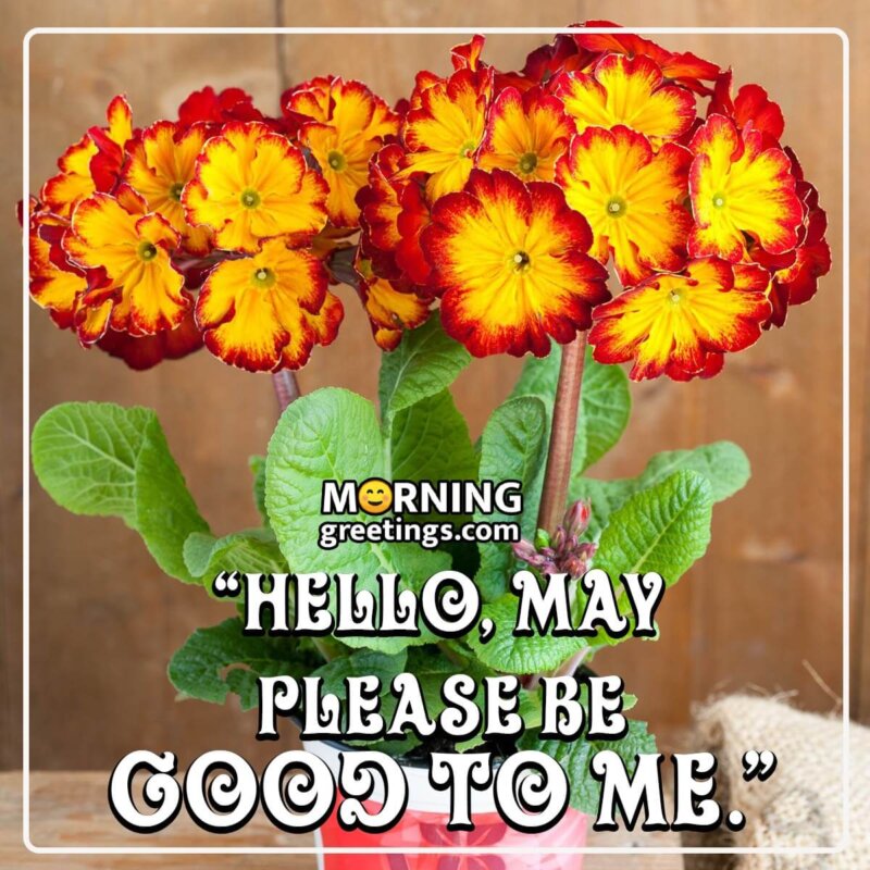 Hello May Please Be Good To Me