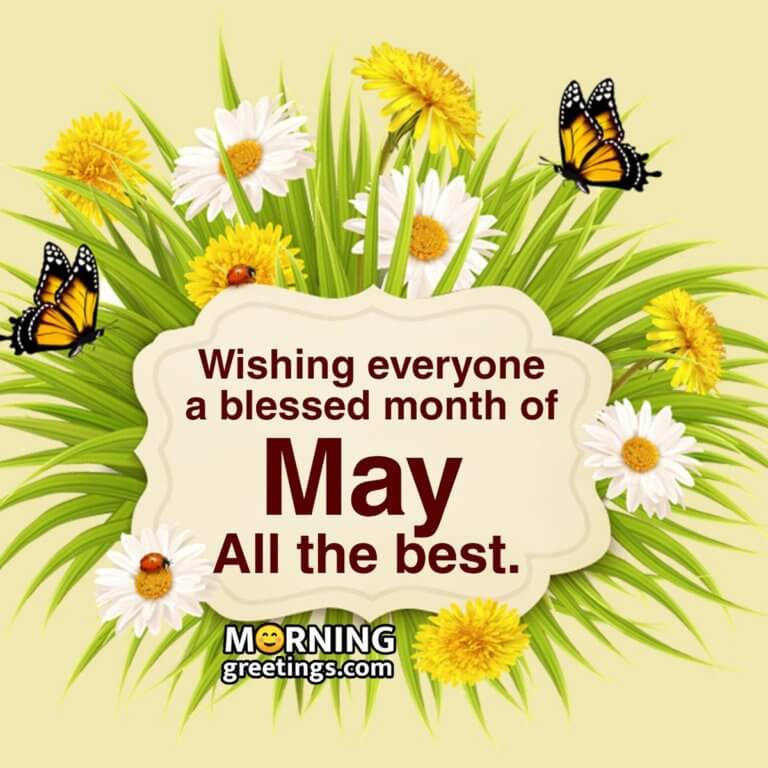 40 Best May Morning Quotes And Wishes - Morning Greetings – Morning ...