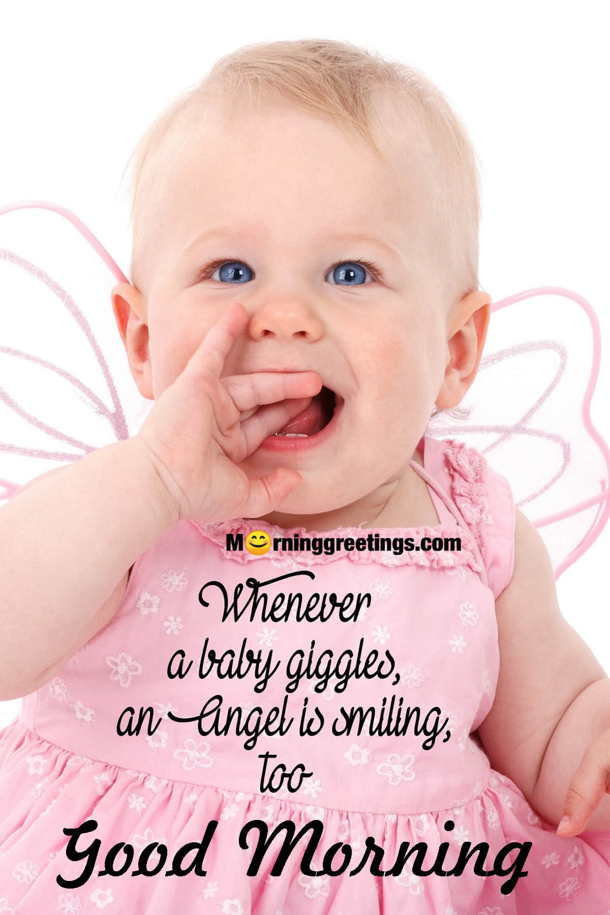 20 Good Morning Angel Quotes Pictures Morning Greetings Morning Quotes And Wishes Images