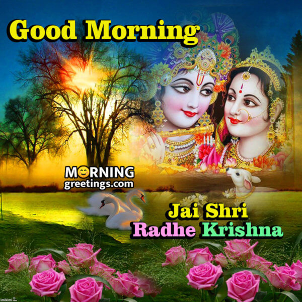 30 Good Morning Lovely Radha Krishna Images - Morning Greetings ...