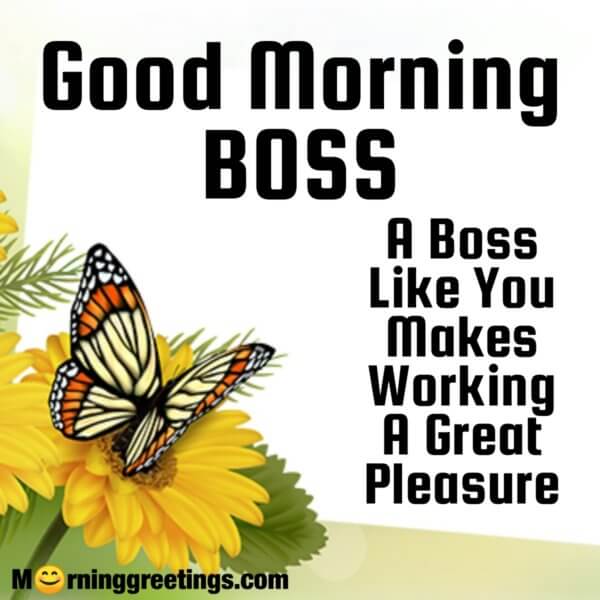 21 Great Good Morning Message For Boss Morning Greetings Morning