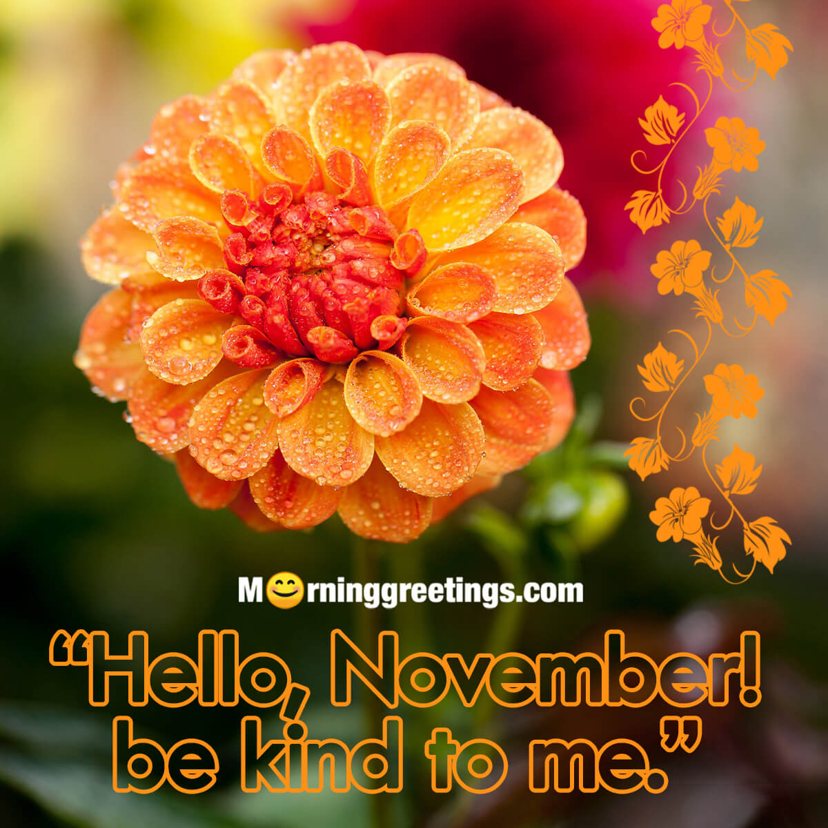 40 Best November Morning Quotes And Wishes - Morning Greetings ...