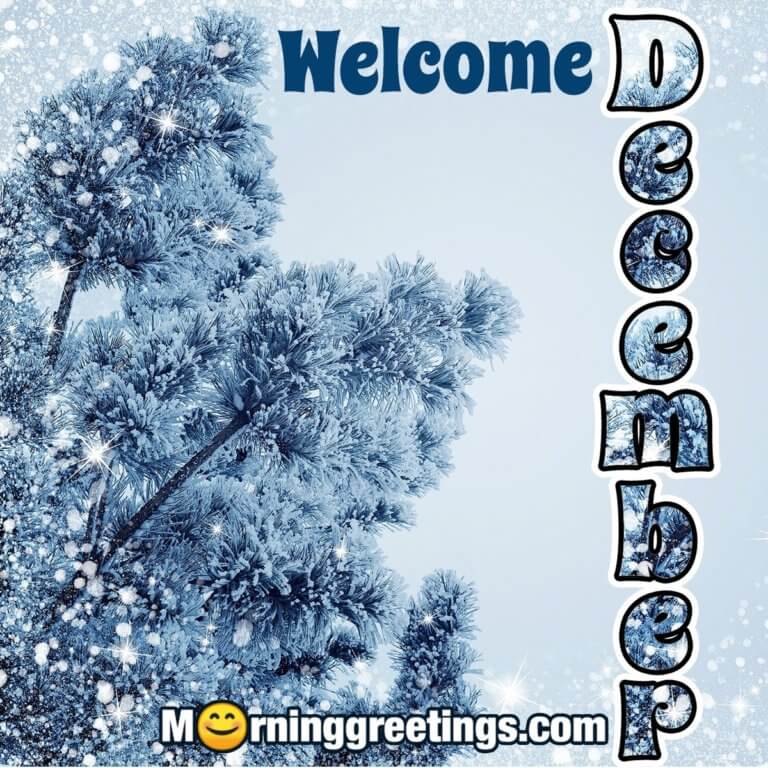 40 Happy December Morning Quotes, Wishes Images - Morning Greetings