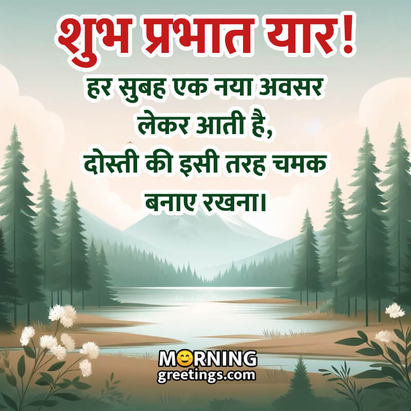 Best Good Morning Hindi Wish Image