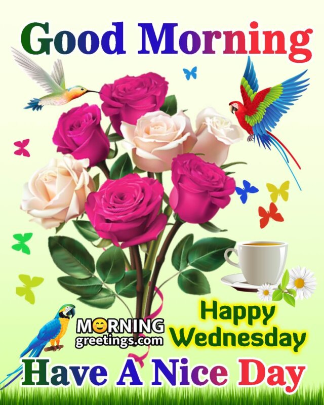 good morning wednesday hd images