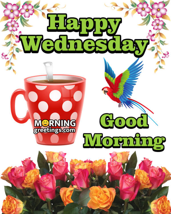 50 Good Morning Happy Wednesday Images - Morning Greetings – Morning ...