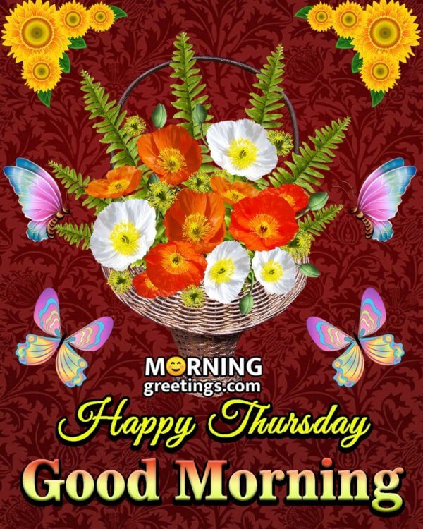 50 Good Morning Happy Thursday Images - Morning Greetings – Morning ...