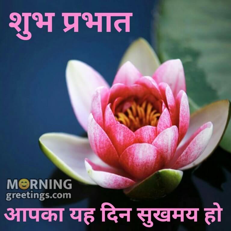 30 Good Morning Hindi Images ( गुड मॉर्निंग हिन्दी इमेजेस