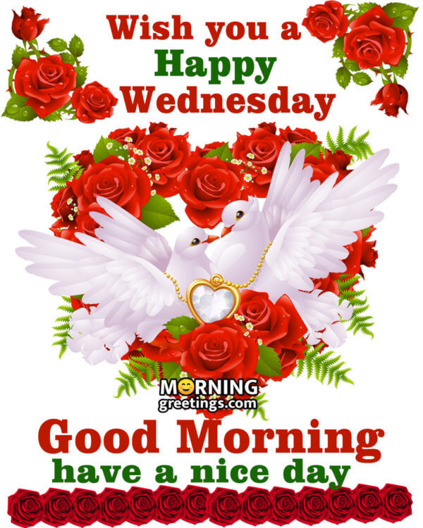 50 Good Morning Happy Wednesday Images - Morning Greetings – Morning ...