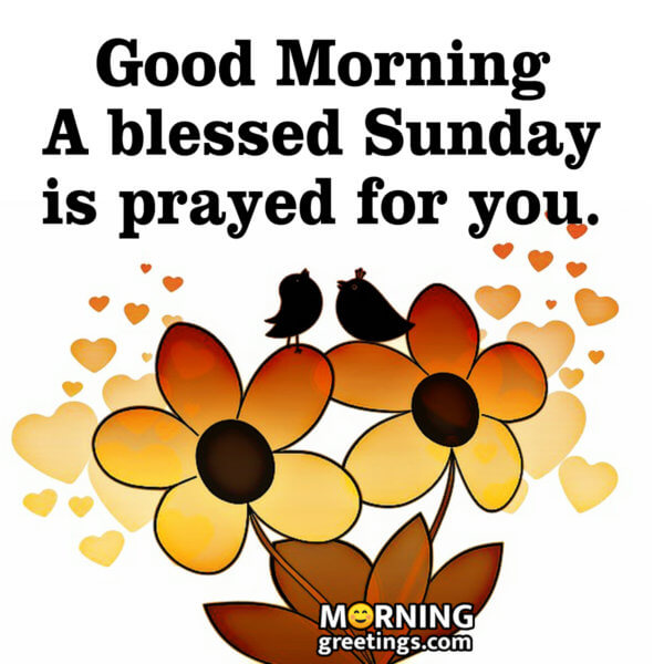 30-super-sunday-morning-blessings-morning-greetings-morning-quotes