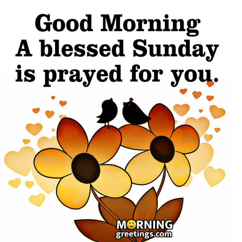 30 Super Sunday Morning Blessings Morning Greetings Morning Quotes And Wishes Images