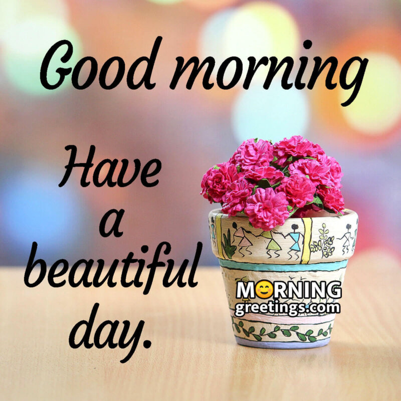 100 Good Morning Images Morning Greetings Morning Quotes And Wishes 