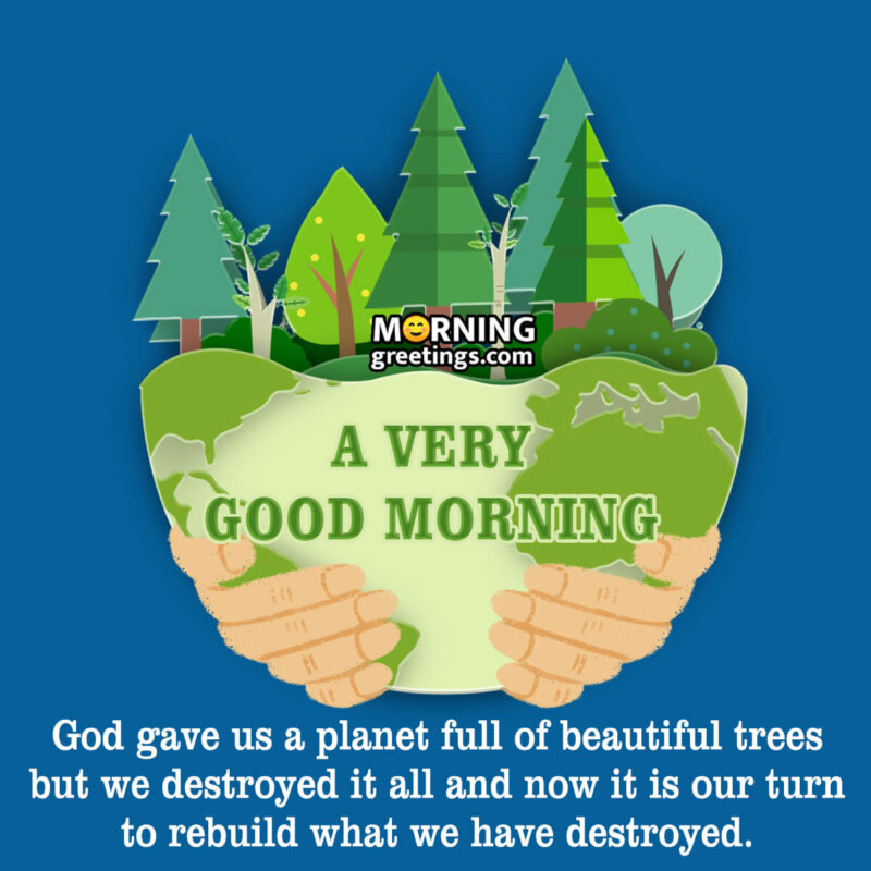 Good Morning Beautiful Trees Quote