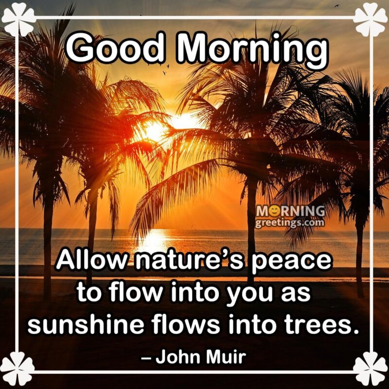 good morning images with nature quotes
