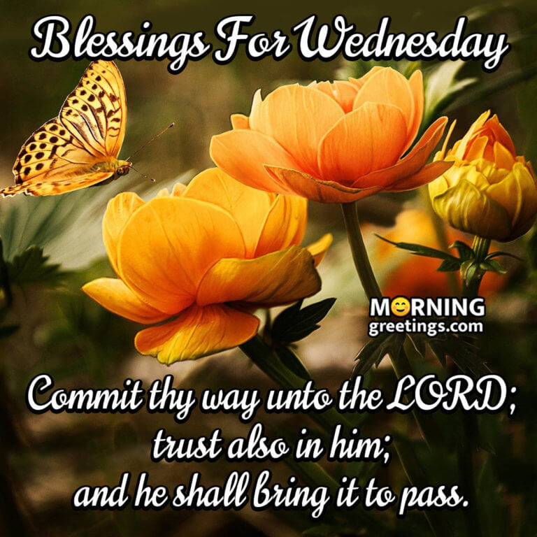 30 Amazing Wednesday Morning Blessings - Morning Greetings – Morning ...