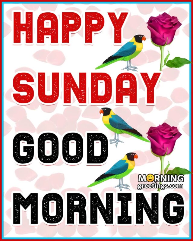 50 Good Morning Happy Sunday Images - Morning Greetings – Morning ...