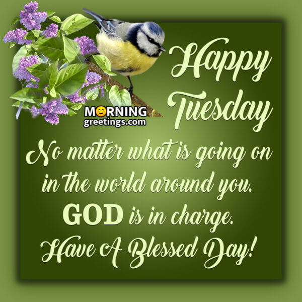 30 Amazing Tuesday Morning Blessings - Morning Greetings – Morning ...