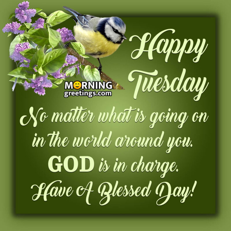 30 Amazing Tuesday Morning Blessings - Morning Greetings – Morning
