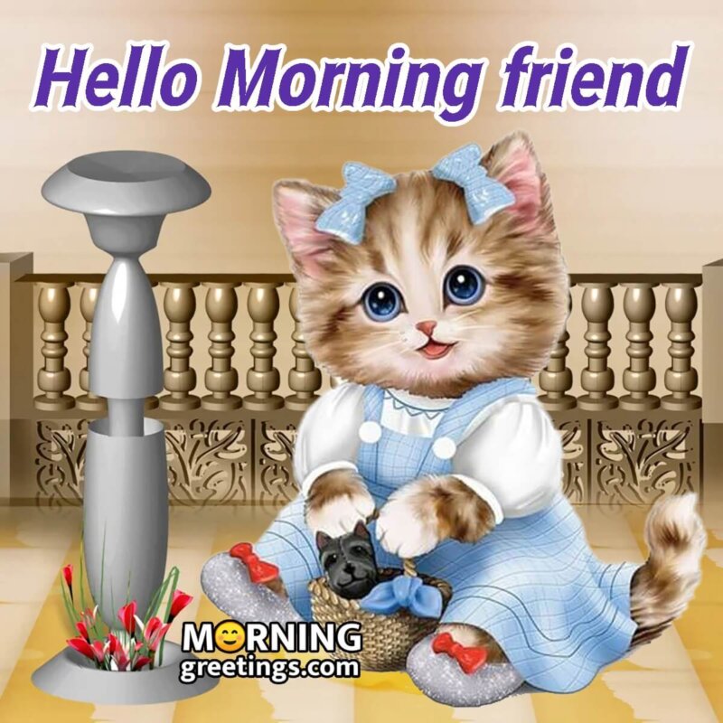 30 Cute Cat Morning Greetings - Morning Greetings – Morning Quotes ...