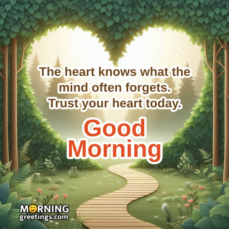 Good Morning Heart And Trust Quote Pic