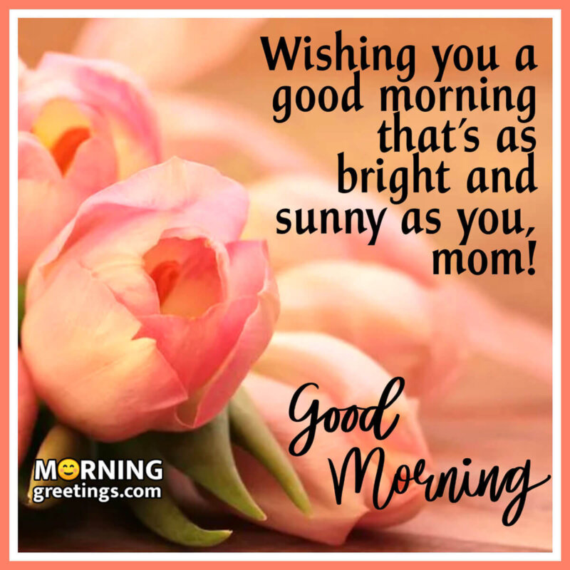 20 Sweet Good Morning Messages For Mom Morning Greetings Morning 