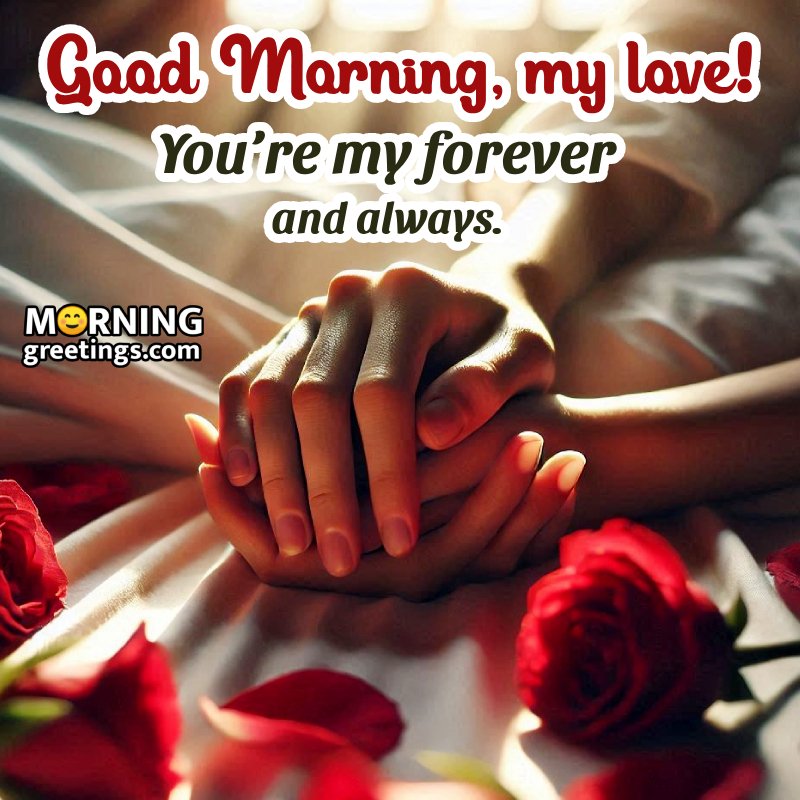 Morning I Love You Rose Image