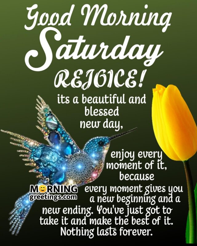 50 Splendid Saturday Quotes Wishes Pics - Morning Greetings ...