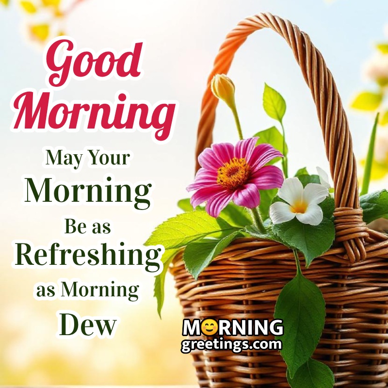 Best Morning Flowers Message Photo