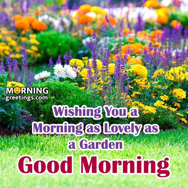 Flower Garden Morning Image