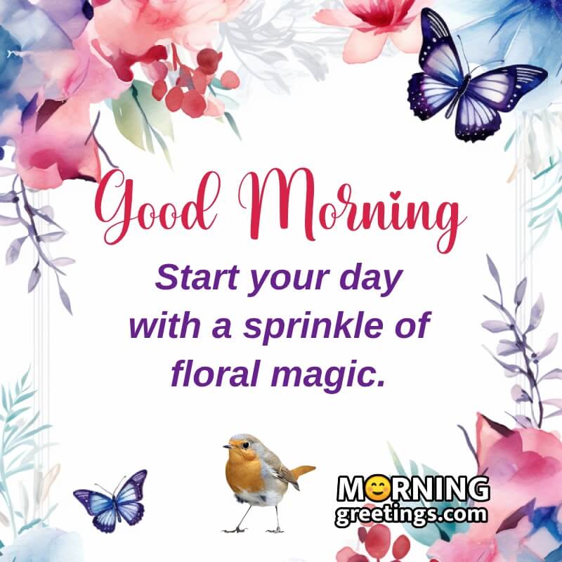 Good Morning Flower And Butterfly Image