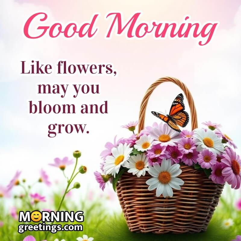 Good Morning Pink Flower Bouquet Picture