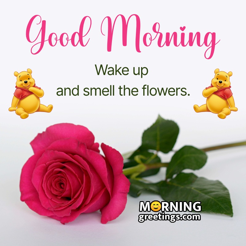 Good Morning Wish Image With Lovely Rose